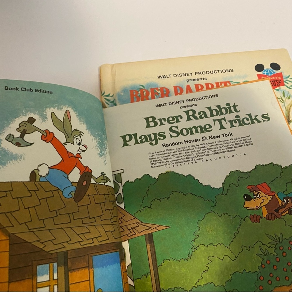 Disney Brer Rabbit Wonderful World of Reading Hardcover Books Splash Mountain - Picture 7 of 8